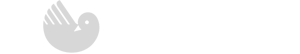 saunier-duval.png